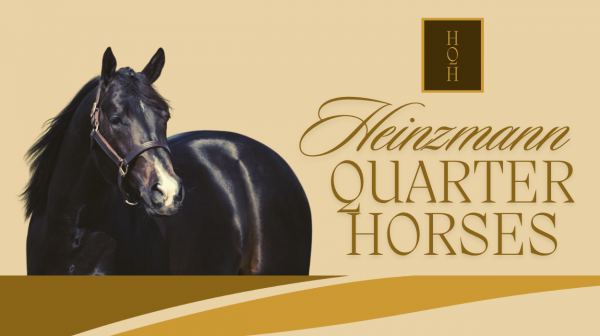 Heinzmann Quarter Horses