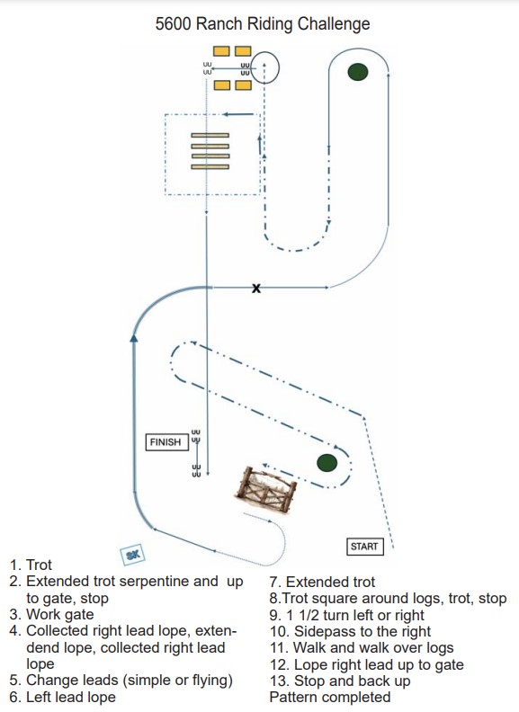 RR Challenge Pattern