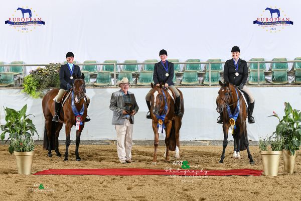 OPEN JUNIOR HUNTER UNDER SADDLE web EC2 0392